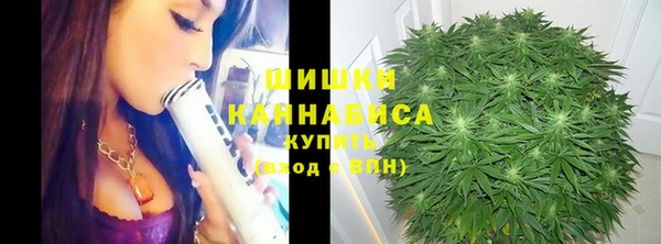 трава Алзамай