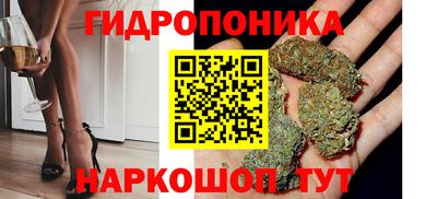 спайс Коммунар